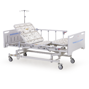 borneo-electric-3-motor